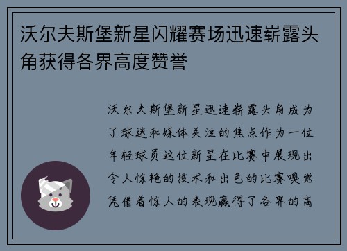 沃尔夫斯堡新星闪耀赛场迅速崭露头角获得各界高度赞誉